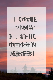 《沙洲的“小树苗”》：新时代中国少年的成长缩影