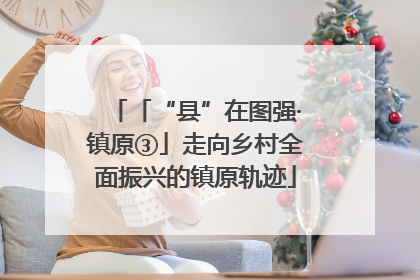 「“县”在图强·镇原③」走向乡村全面振兴的镇原轨迹