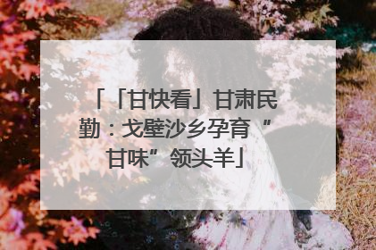 「甘快看」甘肃民勤：戈壁沙乡孕育“甘味”领头羊