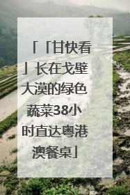 「甘快看」长在戈壁大漠的绿色蔬菜38小时直达粤港澳餐桌