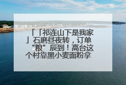 「祁连山下是我家」石磨昼夜转，订单“粮”辰到！高台这个村靠黑小麦面粉拿下成立来最大订单
