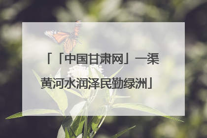 「中国甘肃网」一渠黄河水润泽民勤绿洲