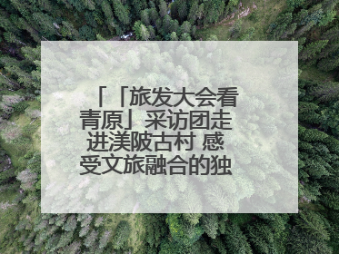 「旅发大会看青原」采访团走进渼陂古村 感受文旅融合的独特魅力（图）
