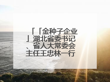 「金种子企业」湖北省委书记、省人大常委会主任王忠林一行到依瑞德调研