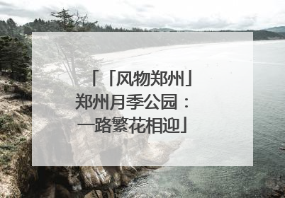 「风物郑州」郑州月季公园：一路繁花相迎