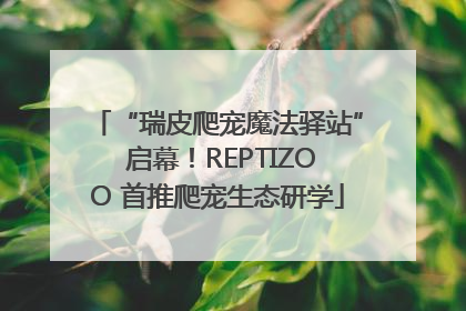 “瑞皮爬宠魔法驿站” 启幕！REPTIZOO 首推爬宠生态研学