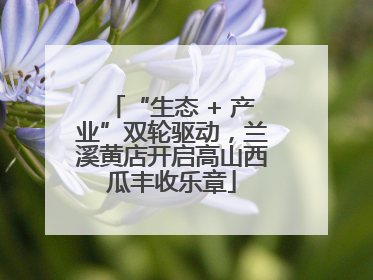 “生态 + 产业”双轮驱动，兰溪黄店开启高山西瓜丰收乐章