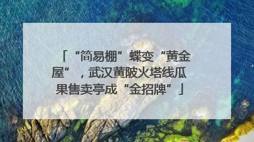 “简易棚”蝶变“黄金屋”，武汉黄陂火塔线瓜果售卖亭成“金招牌”