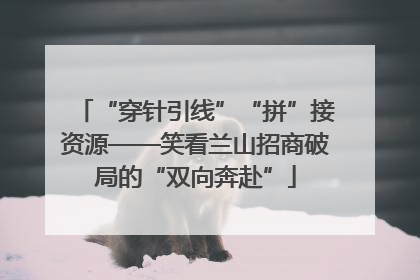 “穿针引线”“拼”接资源——笑看兰山招商破局的“双向奔赴”