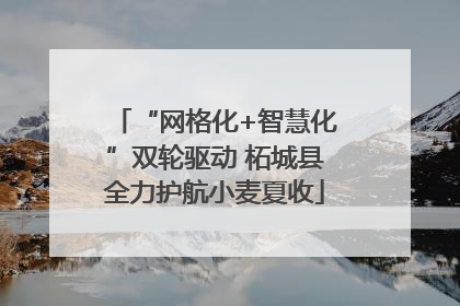 “网格化+智慧化”双轮驱动 柘城县全力护航小麦夏收