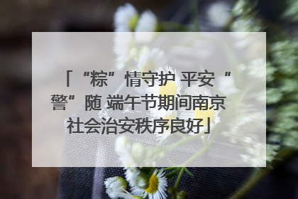 “粽”情守护 平安“警”随 端午节期间南京社会治安秩序良好