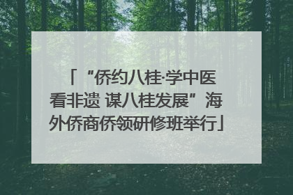 “侨约八桂·学中医 看非遗 谋八桂发展”海外侨商侨领研修班举行