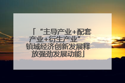 “主导产业+配套产业+衍生产业” 镇域经济创新发展释放强劲发展动能