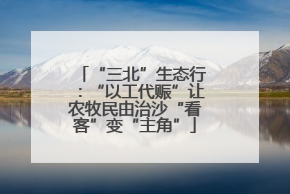 “三北”生态行：“以工代赈”让农牧民由治沙“看客”变“主角”