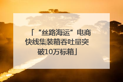 “丝路海运”电商快线集装箱吞吐量突破10万标箱