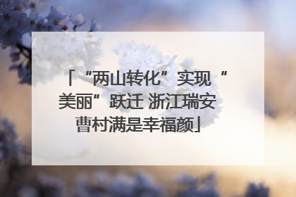 “两山转化”实现“美丽”跃迁 浙江瑞安曹村满是幸福颜