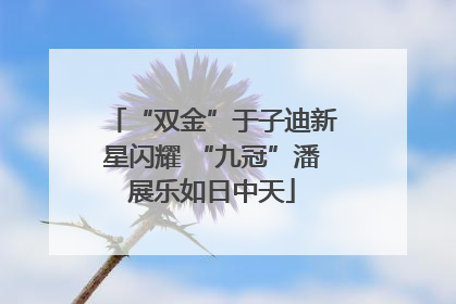 “双金”于子迪新星闪耀 “九冠”潘展乐如日中天