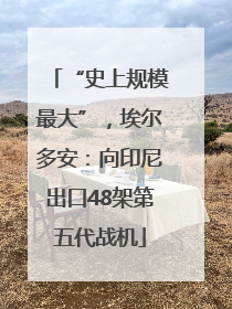 “史上规模最大”，埃尔多安：向印尼出口48架第五代战机