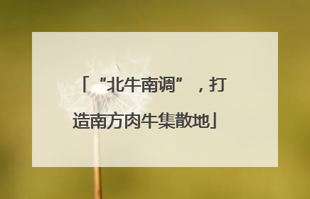 “北牛南调”，打造南方肉牛集散地