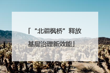 “北疆枫桥”释放基层治理新效能