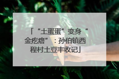 “土蛋蛋”变身“金疙瘩”：孙伯镇西程村土豆丰收记