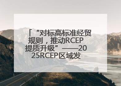 “对标高标准经贸规则，推动RCEP提质升级”——2025RCEP区域发展媒体智库论坛举行专题对话