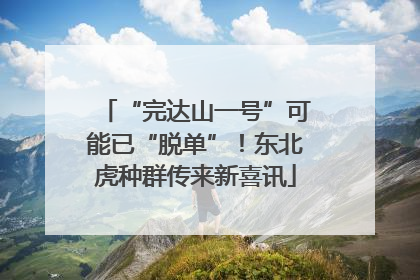 “完达山一号”可能已“脱单”！东北虎种群传来新喜讯