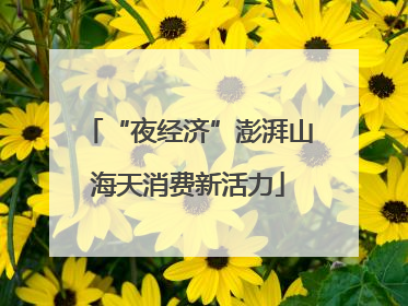 “夜经济”澎湃山海天消费新活力