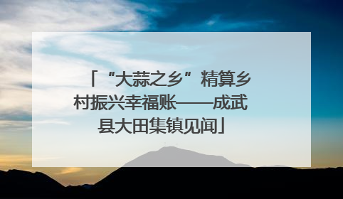 “大蒜之乡”精算乡村振兴幸福账——成武县大田集镇见闻