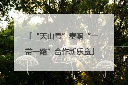“天山号”奏响“一带一路”合作新乐章