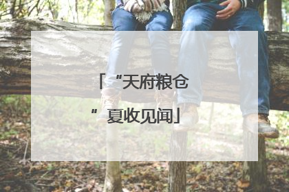“天府粮仓”夏收见闻