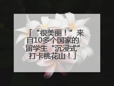 “很美丽！”来自10多个国家的留学生“沉浸式”打卡桃花山！