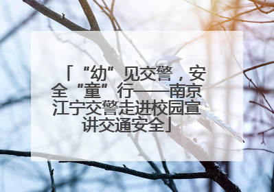 “幼”见交警，安全“童”行——南京江宁交警走进校园宣讲交通安全