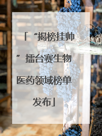“揭榜挂帅”擂台赛生物医药领域榜单发布
