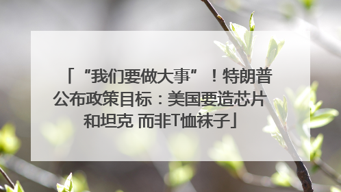 “我们要做大事”！特朗普公布政策目标：美国要造芯片和坦克 而非T恤袜子