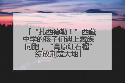 “扎西德勒！”西藏中学的孩子们遇上藏族同胞，“高原红石榴”绽放荆楚大地