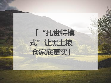 “扎赉特模式”让黑土粮仓家底更实