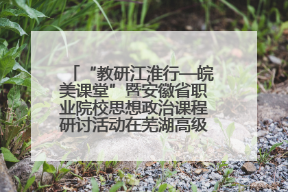 “教研江淮行—皖美课堂”暨安徽省职业院校思想政治课程研讨活动在芜湖高级职业技术学校举行