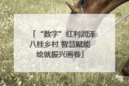 “数字”红利润泽八桂乡村 智慧赋能绘就振兴画卷