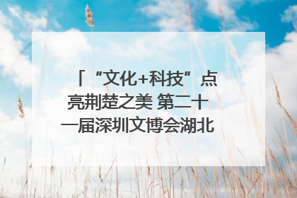 “文化+科技”点亮荆楚之美 第二十一届深圳文博会湖北馆抢“鲜”看