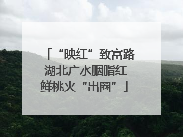 “映红”致富路 湖北广水胭脂红鲜桃火“出圈”