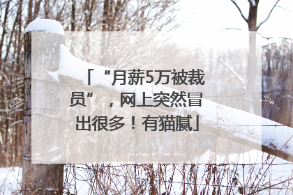 “月薪5万被裁员”，网上突然冒出很多！有猫腻