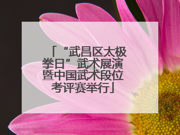 “武昌区太极拳日”武术展演暨中国武术段位考评赛举行