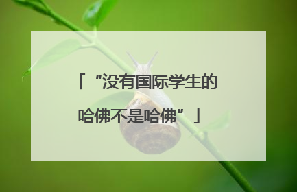 “没有国际学生的哈佛不是哈佛”
