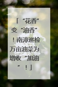 “花香”变“油香”！南漳巡检万亩油菜为增收“加油”！