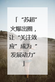 “苏超”火爆出圈，让“关注效应”成为“发展动力”