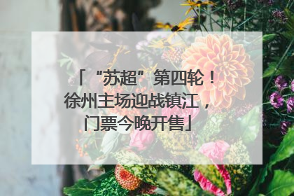 “苏超”第四轮！徐州主场迎战镇江，门票今晚开售