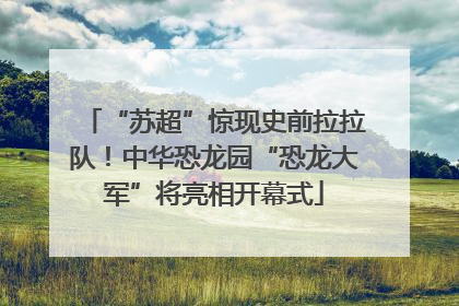 “苏超”惊现史前拉拉队！中华恐龙园“恐龙大军”将亮相开幕式