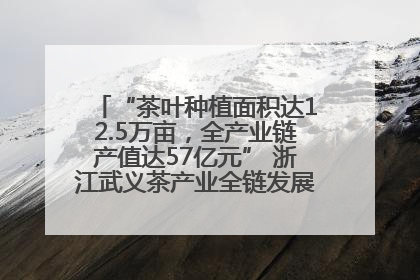 “茶叶种植面积达12.5万亩，全产业链产值达57亿元” 浙江武义茶产业全链发展“加速度”