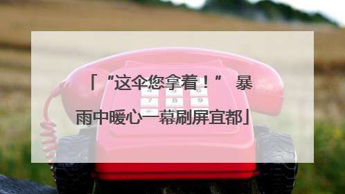 “这伞您拿着！” 暴雨中暖心一幕刷屏宜都